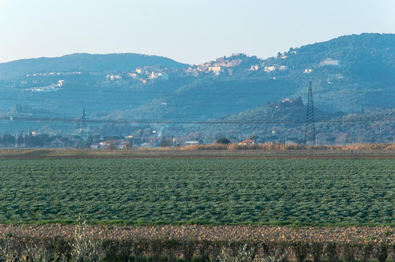Agriturismo Il Cuscino Nel Pagliaio Campiglia Marittima Ngoại thất bức ảnh